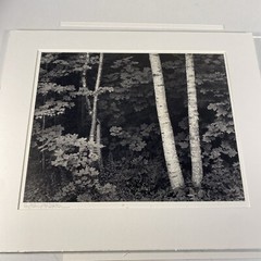 John Sexton Birch Trees 1981 Photograph Print Black & White 9.75″x12.25″ Framed