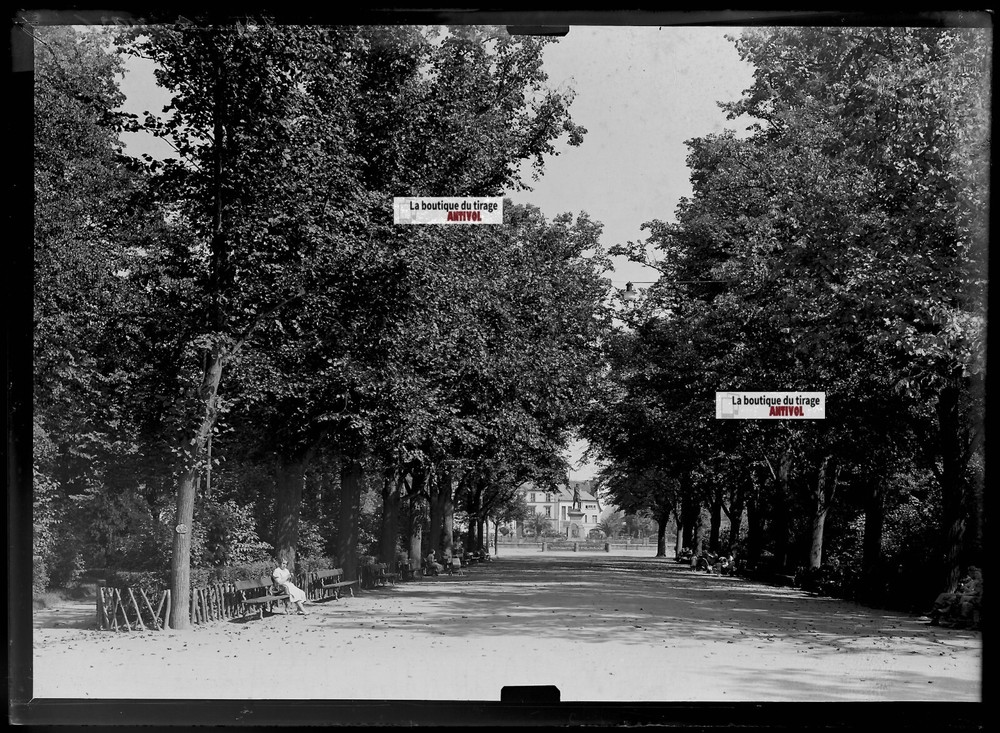 Old Black And White Photo Glass Plate Negative 13X18 Cm Colmar Public Garden