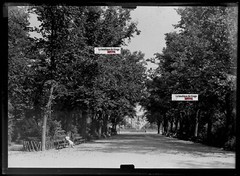 Old Black And White Photo Glass Plate Negative 13X18 Cm Colmar Public Garden