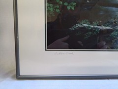 «Indian Creek» Framed Landscape Photograph by Gary Carlson