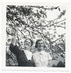 Bloom in the Odenwald – Nature Landscape Women – 3x Vintage Photo 1930s