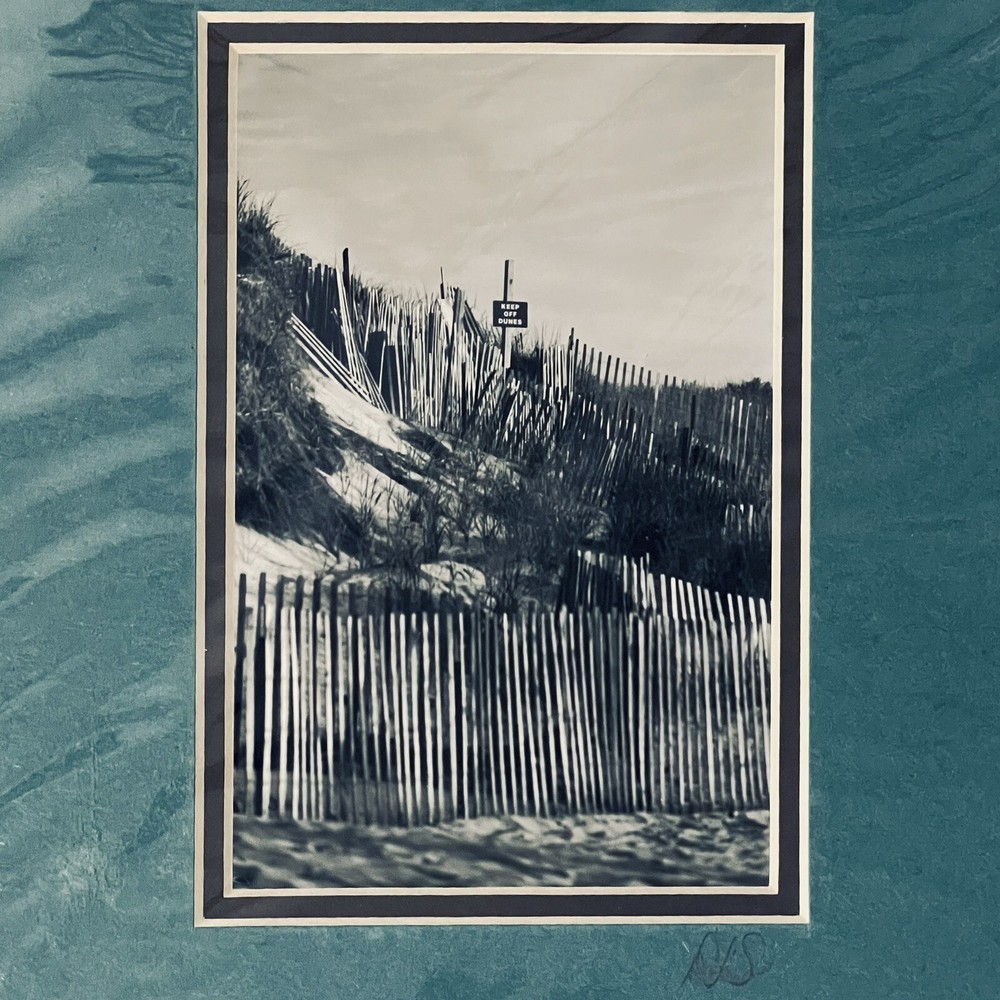 New Print Beach Fence and Sign on Dunes Black White 8×10 Green Framed DLS Signed