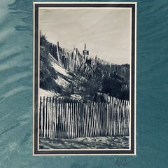 New Print Beach Fence and Sign on Dunes Black White 8×10 Green Framed DLS Signed