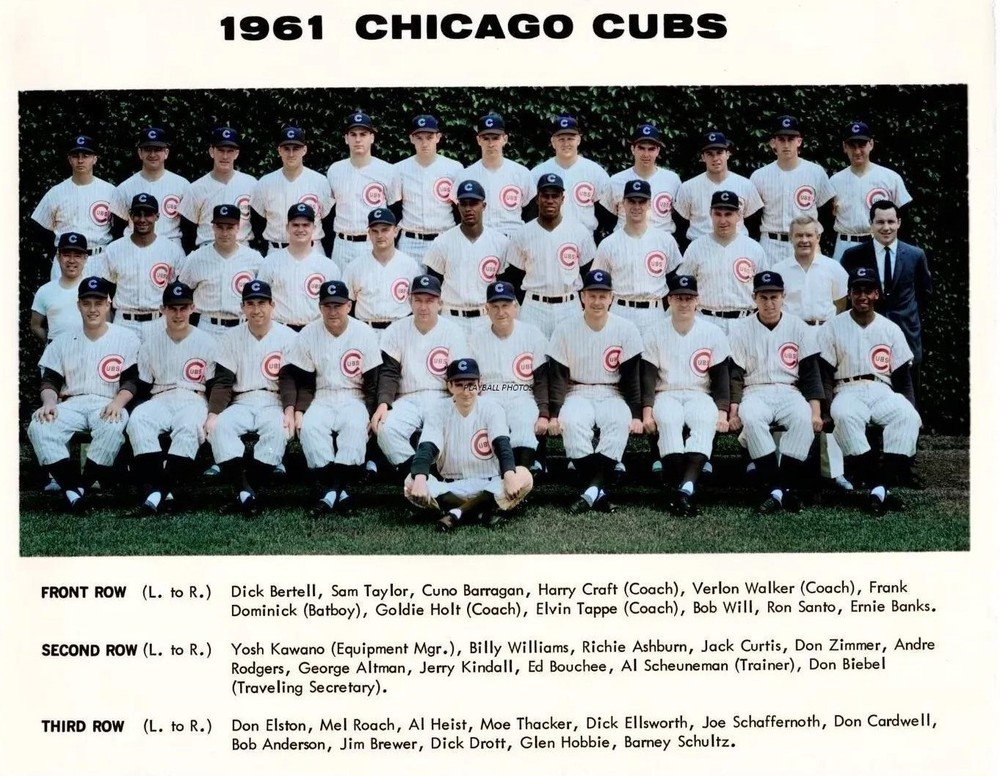 1961 Chicago Cubs Colorized 8×10 Team Print 8×10 Colorized Print-FREE SHIPPING