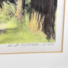William Thayer Shady Lane Signed Art Photo Hand Colored Matted 6/250 in Plastic