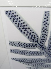 Signed Martha Madigan Lihue Fern photograph botanical photogram 16×19” framed