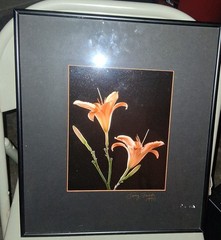 Cibachrome ART PRINT Signed & Framed Print Tony Festa RARE