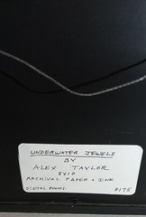 Underwater Jewels By Alex Taylor 8×10 Framed Archival Paper & Ink Digital Photo