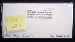 Boris Starosta 3D Stereoview – CREATIVE Moore Bldg Signed 2012