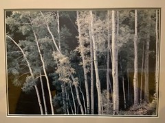 THOMAS D MANGELSEN Original Photograph