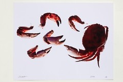 Stone Crabs – 17″ x 22″ Fine Art Photography Print – Artistic Food Photography