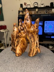 Beautiful Natural Cypress Knee Sculpture