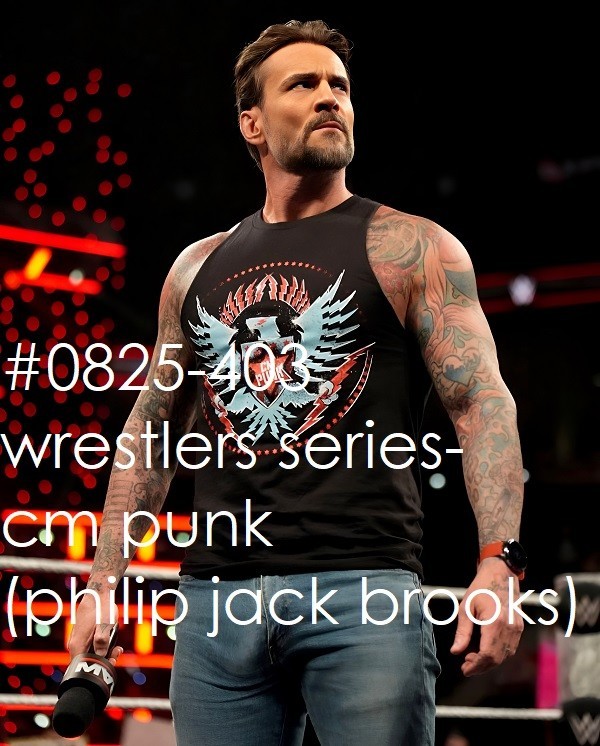 MALE PORTRAIT #0825-403 -wrestlers series – cm punk – free shipping in usa