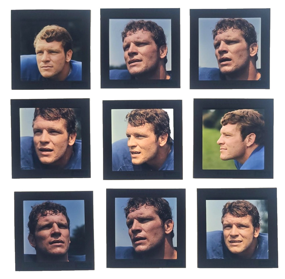 Vtg 60s MIKE CURTIS RC BALTIMORE COLTS PORTRAITS Richard Stacks FOOTBALL NFL