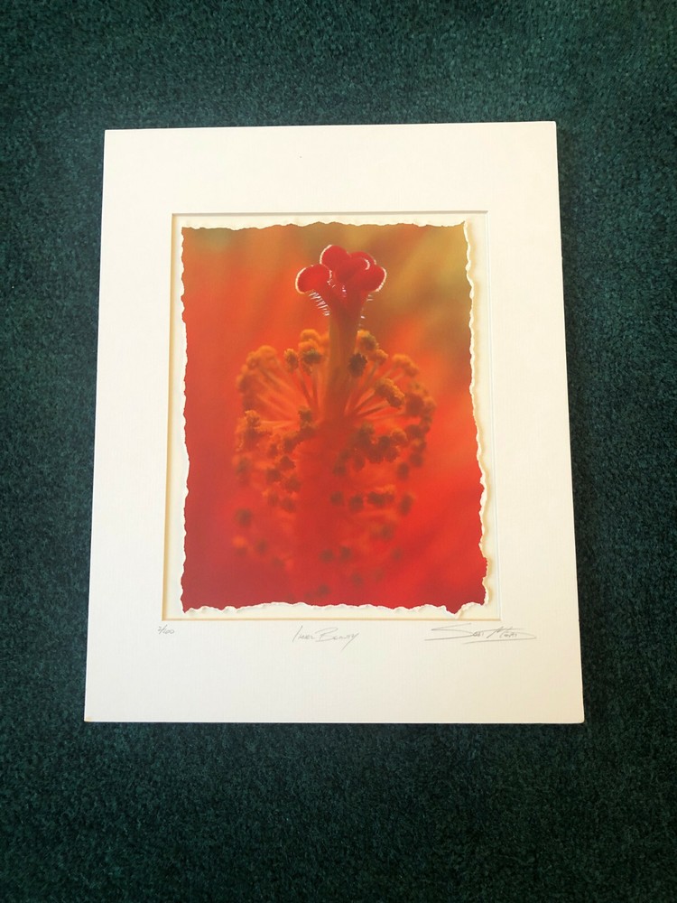 Scott Mead Hawaiiana «Inner Beauty» Photograph