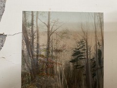 Fred Thompson Hand Colored Tinted Photograph NATURE’S CARPET Birch Trees Signed