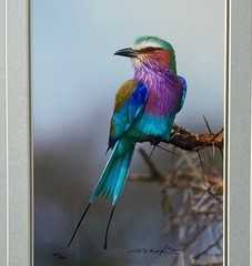 Jewel of The Serengeti by Thomas D. Mangelsen. Signed. Numbered. Personal Gift.