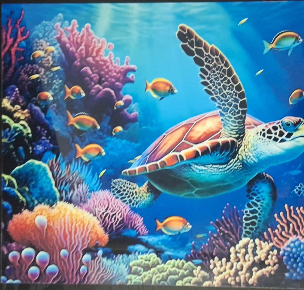 Sea Turtle Coral Reef Fish Ocean Contemporary Portrait Nature Animals Metal Sign