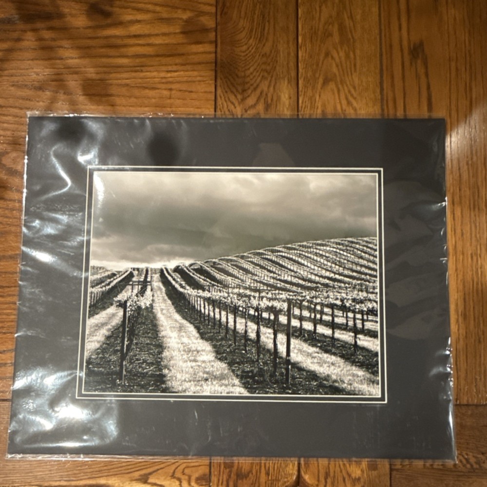 Tara McHenry Black & White Vineyard Landscape Photo Fujifilm Crystal Archive