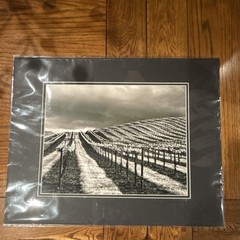 Tara McHenry Black & White Vineyard Landscape Photo Fujifilm Crystal Archive