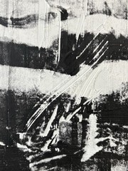 🔥 Vintage Modern Bodybuilding MUSCLE Man Photograph Painting, Lillian BASSMAN
