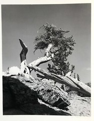 Carl Brandauer Photograph Black and White Landscape 1971 Boulder Colorado