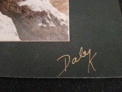 Mountain Goats Photograph by Dale K: Signed by Photographer on Mounted on Board