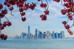 Metal Print Professional Photograph on Metal «New York Across the Bay» 16″ by 20