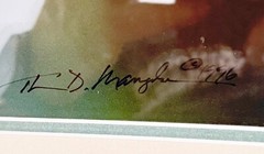Thomas D Mangelsen Signed/Numbered 114/1200 Nature Photo Chameleon Lizard 14×20”