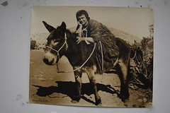 Original Alan Houghton fine art Photography » Actor Duddley Moore» 16 X 20 1980