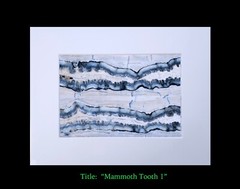 matted photograph, 5″x7″ print, mounted 3/16″ foam with 8″x10″ single white mat