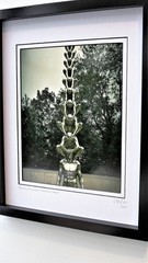 Limited Edition Signed Architectural Framed Photography by C. Damien Fox
