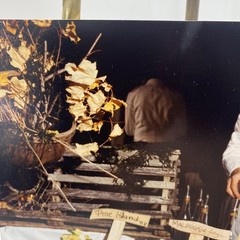 Vintage 1990 Zinger Chef Oyster Bar Seafood Color Original Photograph 5×7 Glossy