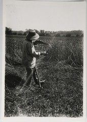 Photo Analog Scene Rural Farmer Mowing A Field 13X18Cm 1970