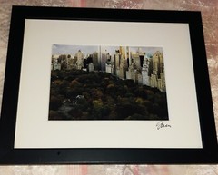 Central Park Photo Signed And Nicely Framed 9×11” Ready To Hang