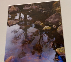 Adrian Jenkins Photo «Elemental» 12″x16″ Matted From The Reflections Collection