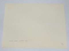 VALESKA SOARES B-1957 BRAZIL NYC 1998 UNTITLED DIGITAL COLOR PHOTOGRAPH 29/50