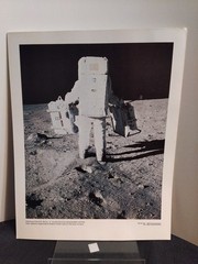 Astronaut Edwin Aldrin Moon Surface NASA Apollo 11 Lunar Photo