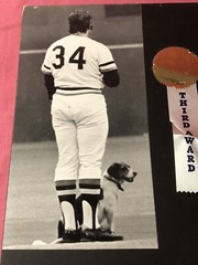 Vintage Photo On Board Baseball Player Dog National Anthem 6×12 Art Contest