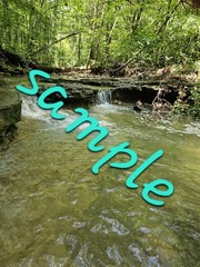 Digital Image Picture Photo Pic Wallpaper Background water woods trees