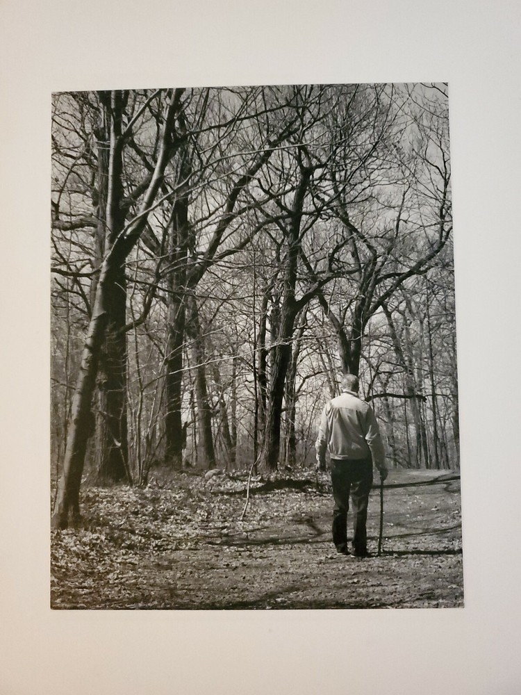 MAN IN FOREST LARGE ORIGINAL SIGNED ART PHOTO B&W STETTNER VTG MATTE NJ CAMERA