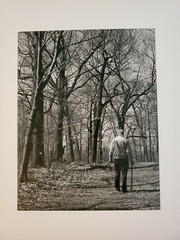 MAN IN FOREST LARGE ORIGINAL SIGNED ART PHOTO B&W STETTNER VTG MATTE NJ CAMERA