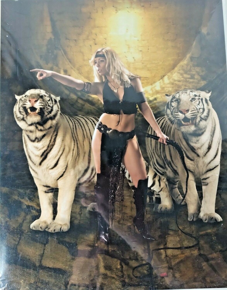 «Get ‘Em» Tigers #10997 by Robert Odegard Photography Art Print11″x14″ Fantasy