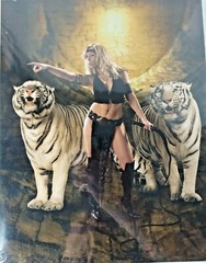 «Get ‘Em» Tigers #10997 by Robert Odegard Photography Art Print11″x14″ Fantasy