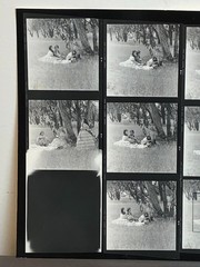 NEWLY FOUND! Hendrickson PHOTO Contact Sheet Proof & Negatives VICTORIAN COUPLES