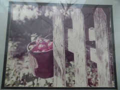 Fine Art Photography by Renowned Artist Art Gore Signed Framed Original 3 Pieces