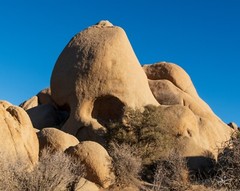 Joshua Tree National Park California USA Skull Rock Photo Print Poster 16×20