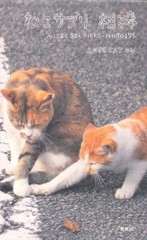 Cat Supplements Partner: Effective Neko Photo 175