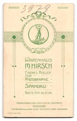 Photograph M. Hirsch, Spandau, Breitestraße 26-28, matron in puff sleeve dress un