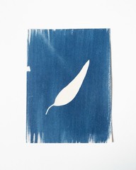 Original Cyanotype Print – Botanical Leaf Photogram – Handmade | 15×20 cm